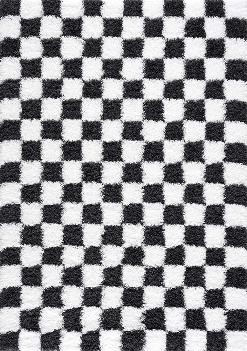 Atira Black & White Area Rug