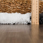 Atira Black & White Area Rug