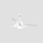 Vintage Akash Ceiling Fan Light