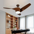 Vintage Akash Ceiling Fan Light