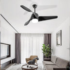 Vintage Akash Ceiling Fan Light