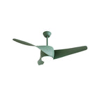 Vintage Akash Ceiling Fan Light