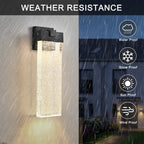 Conaco Outdoor Wall Light