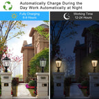 Querry Outdoor Solar Light