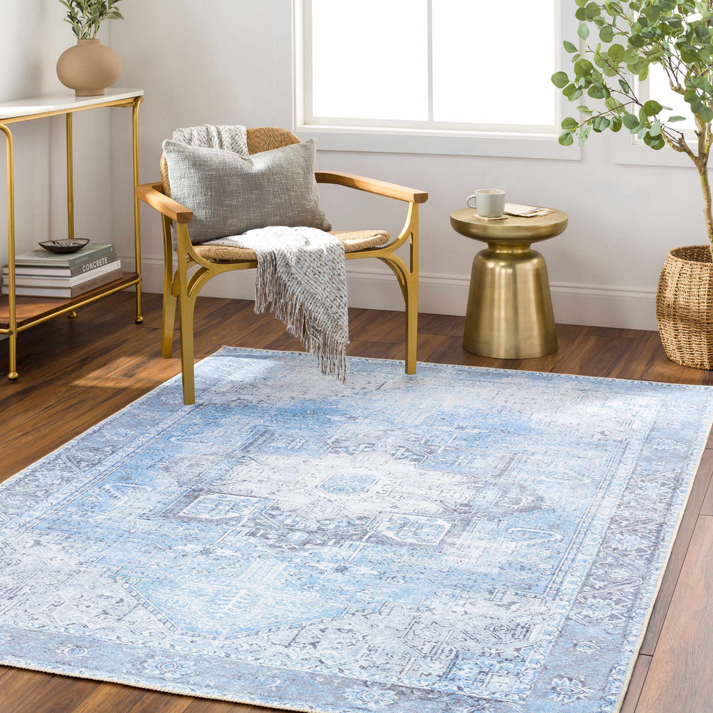 Rosman Aqua & Charcoal Washable Area Rug | Vintage Traditional Design