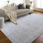 Albuquerque Distressed Area Rug