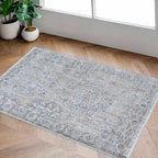 Albuquerque Distressed Area Rug