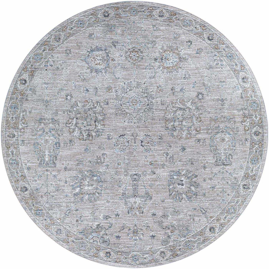 Albuquerque Distressed Area Rug | Beige, Gray & Blue Tones