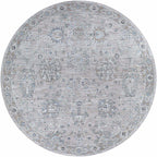 Albuquerque Distressed Area Rug