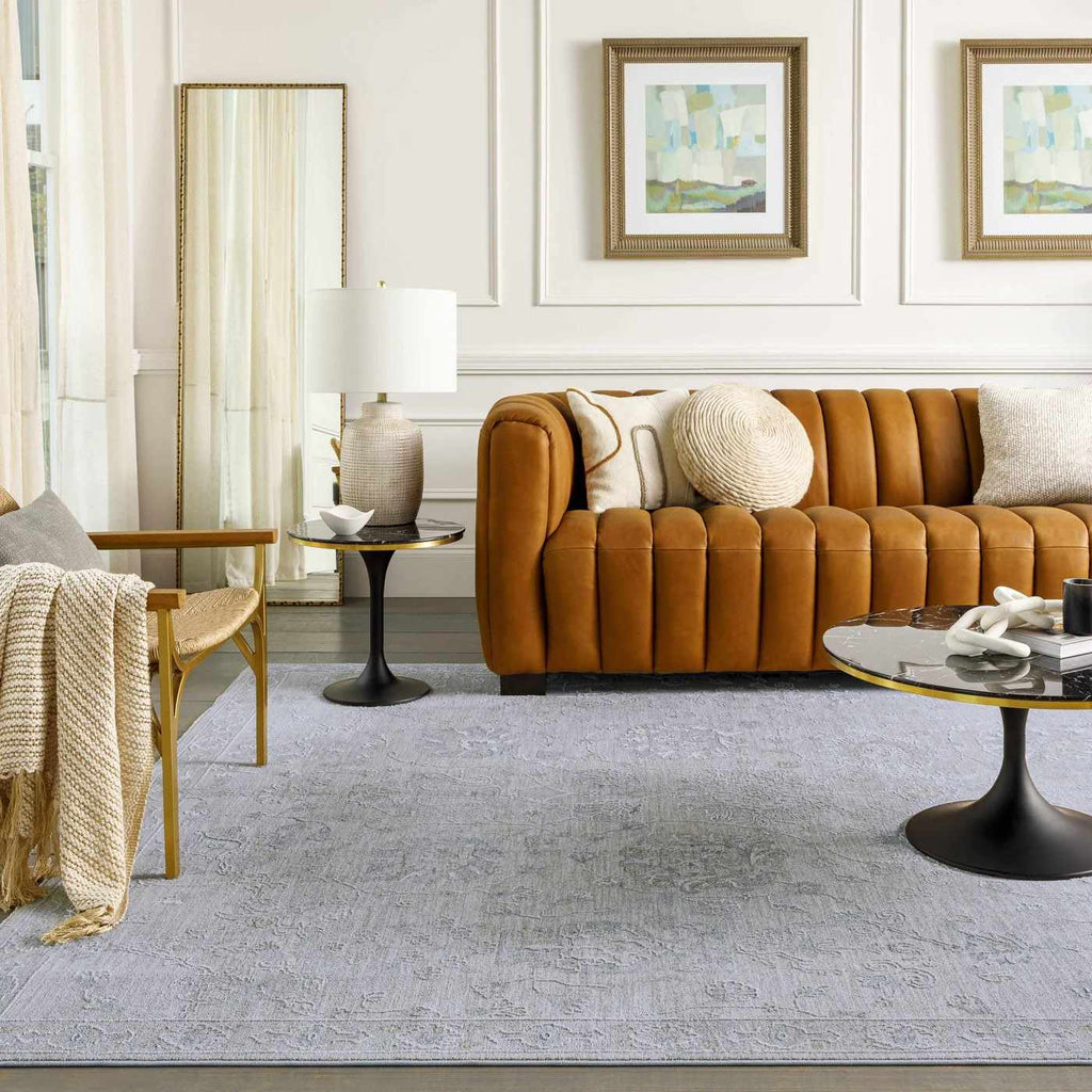 Albuquerque Distressed Area Rug | Beige, Gray & Blue Tones