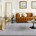 Albuquerque Distressed Area Rug