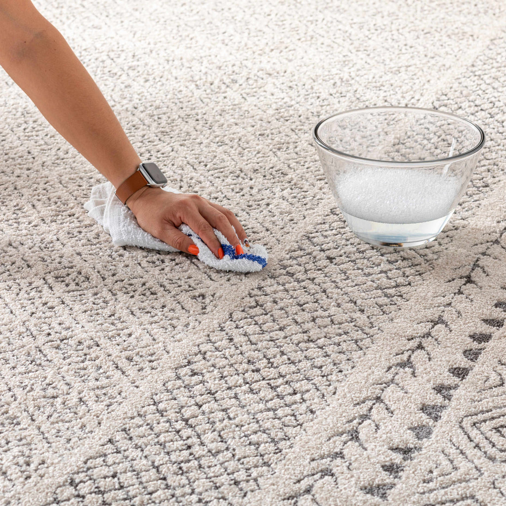 Burdette Soft Neutral Farmhouse Area Rug | Plush Comfort Underfoot – Hauteloom