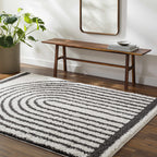 Bauer Shag Area Rug