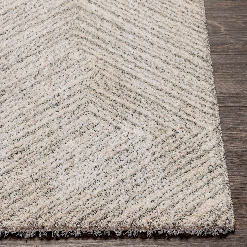 Broadwater Luxe Plush Area Rug | Soft Neutral Rug for Living Room – Boutique Rugs