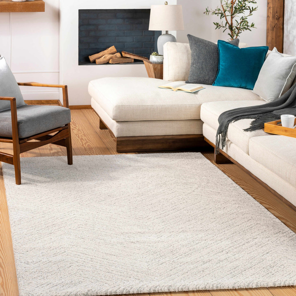 Broadwater Luxe Plush Area Rug | Soft Neutral Rug for Living Room – Boutique Rugs