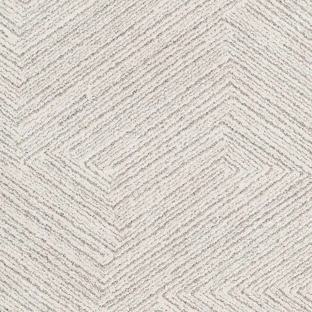 Broadwater Luxe Plush Area Rug | Soft Neutral Rug for Living Room – Boutique Rugs