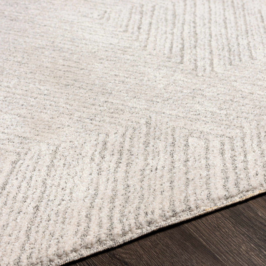 Broadwater Luxe Plush Area Rug | Soft Neutral Rug for Living Room – Boutique Rugs