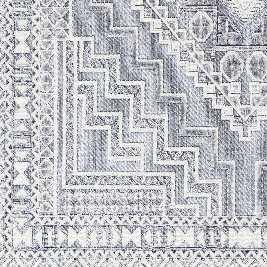 Alya Charcoal Fringe Area Rug | Textured Medallion Design