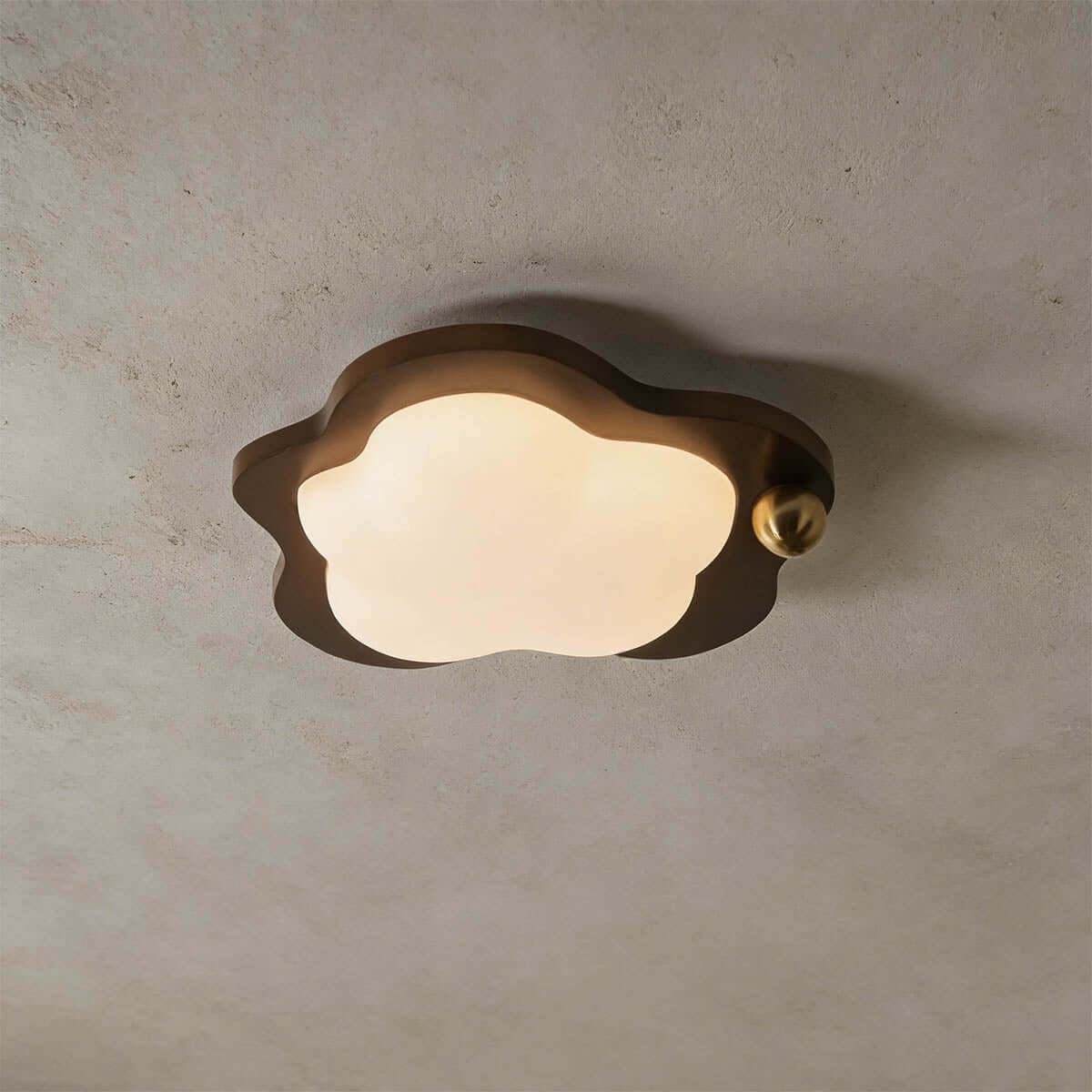 Calenu Acrylic & Wood Ceiling Light | Multi-Model LED Flush Mount