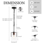 Modern Industrial Pendant Light with Clear Glass Shade