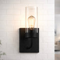 Zephyr Single Light Sconce With Clear Glass Metal
