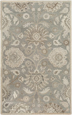 Conesus Hand Tufted Wool Area Rug