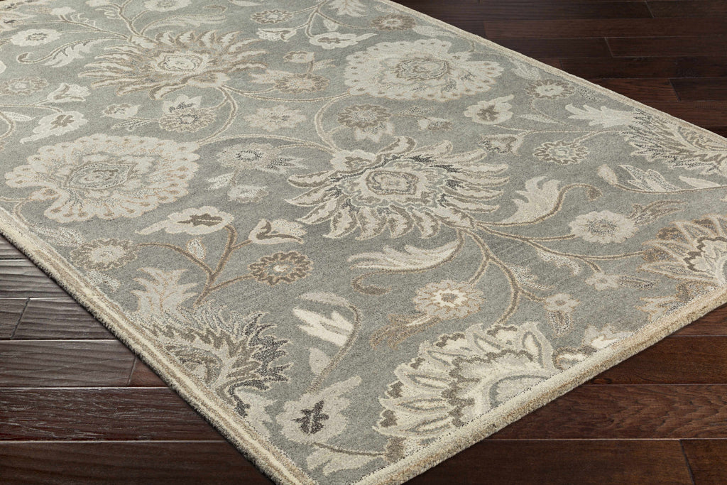 Conesus Hand Tufted Wool Area Rug