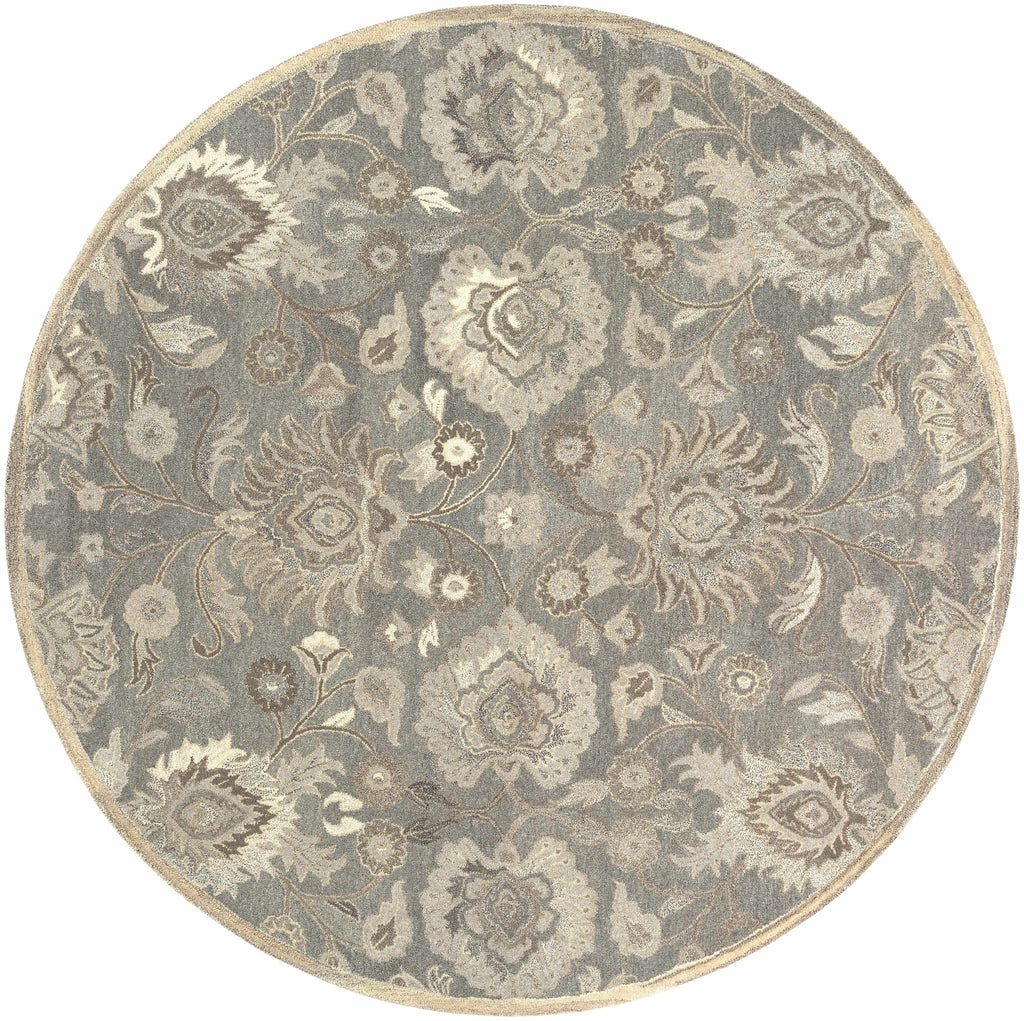 Conesus Hand Tufted Wool Area Rug