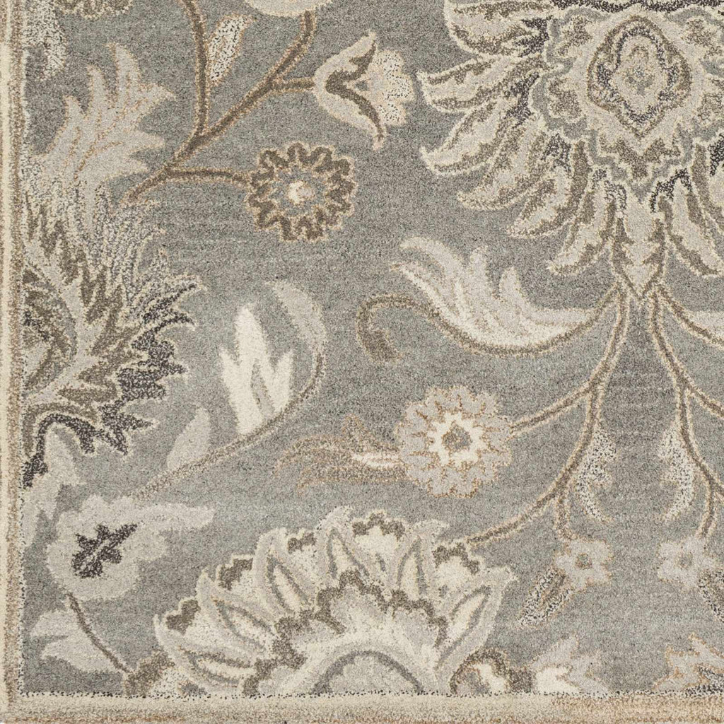 Conesus Hand Tufted Wool Area Rug