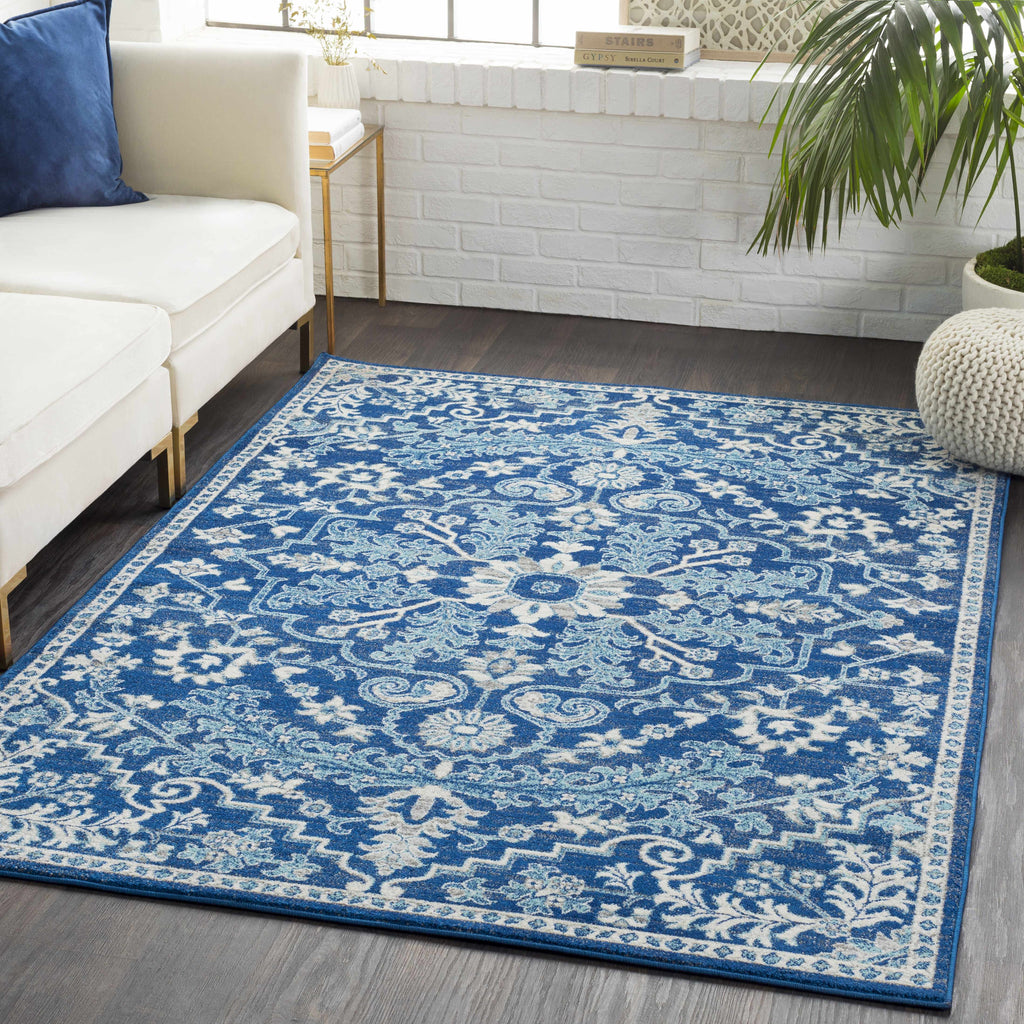 Bodrum Traditional Medallion Area Rug