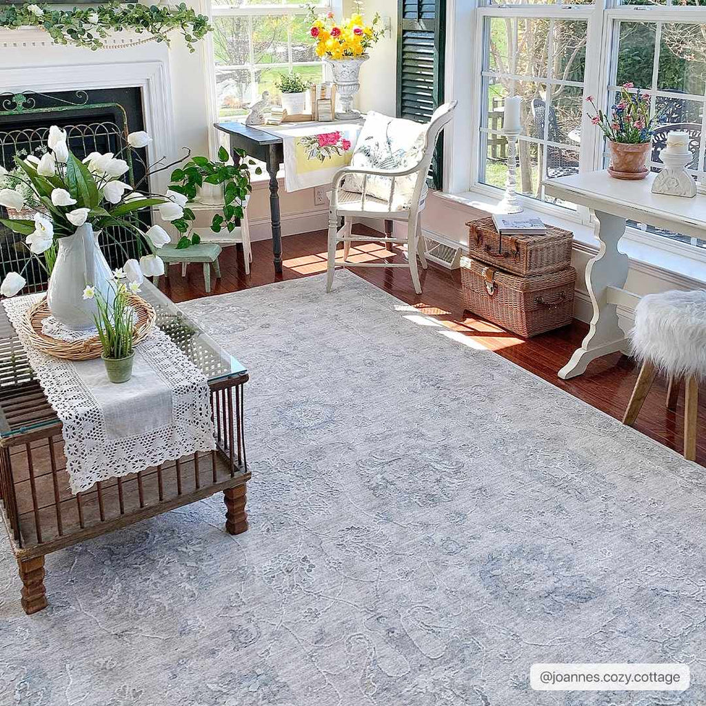 Albuquerque Distressed Area Rug | Beige, Gray & Blue Tones