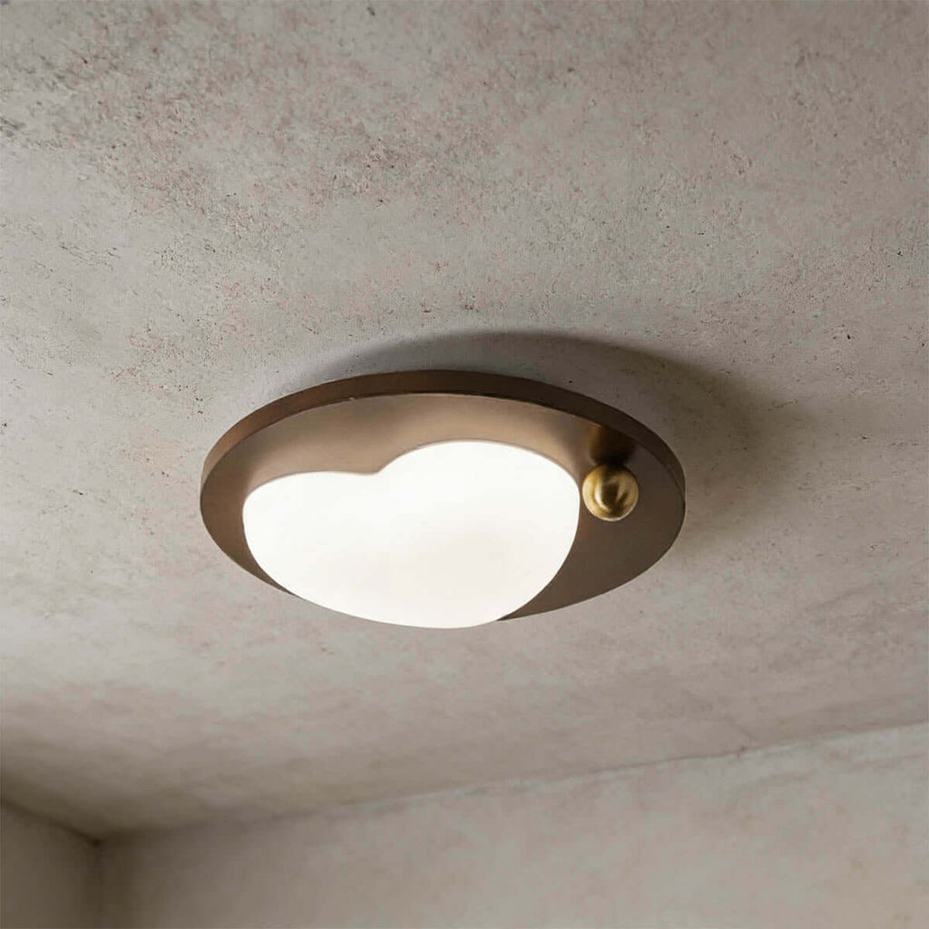 Calenu Acrylic & Wood Ceiling Light | Multi-Model LED Flush Mount