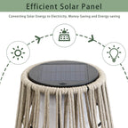 Outdoor Floor Lamp 2 Piece Solar Powered
