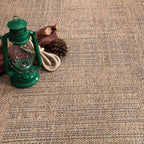 Rico Mottled Pattern Indoor/Outdoor Rug