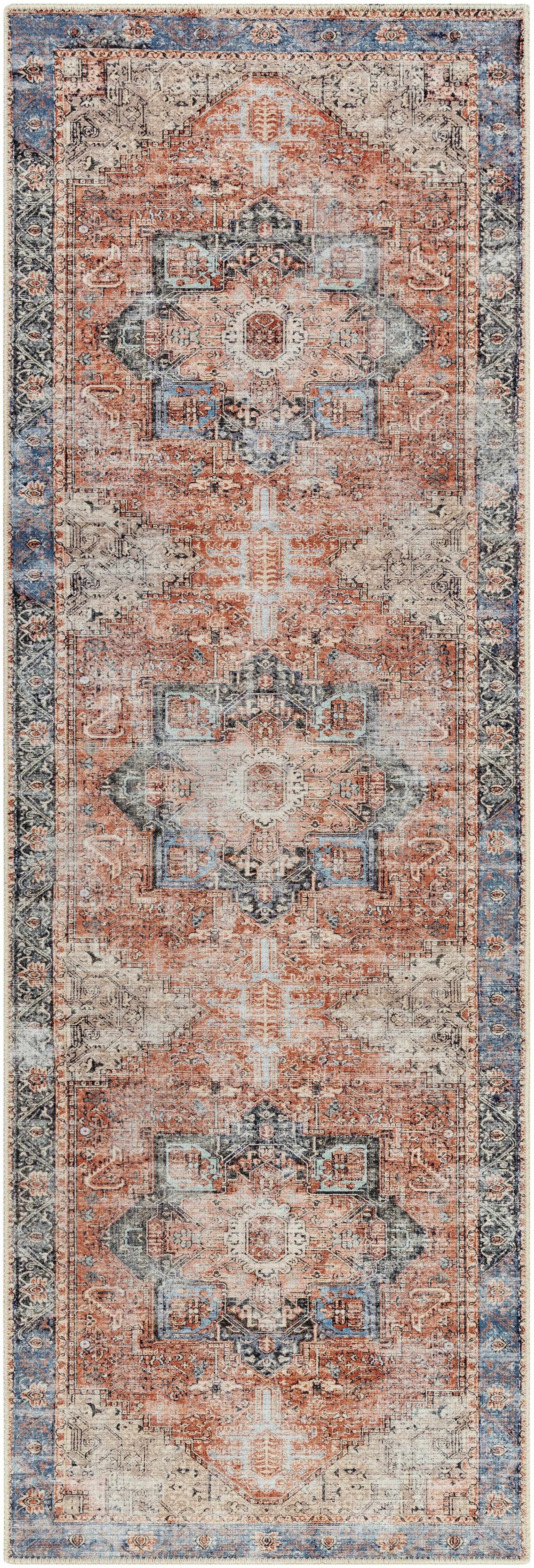 Rosman Distressed Washable Area Rug | Vintage Bohemian Rug – Boutique Rugs
