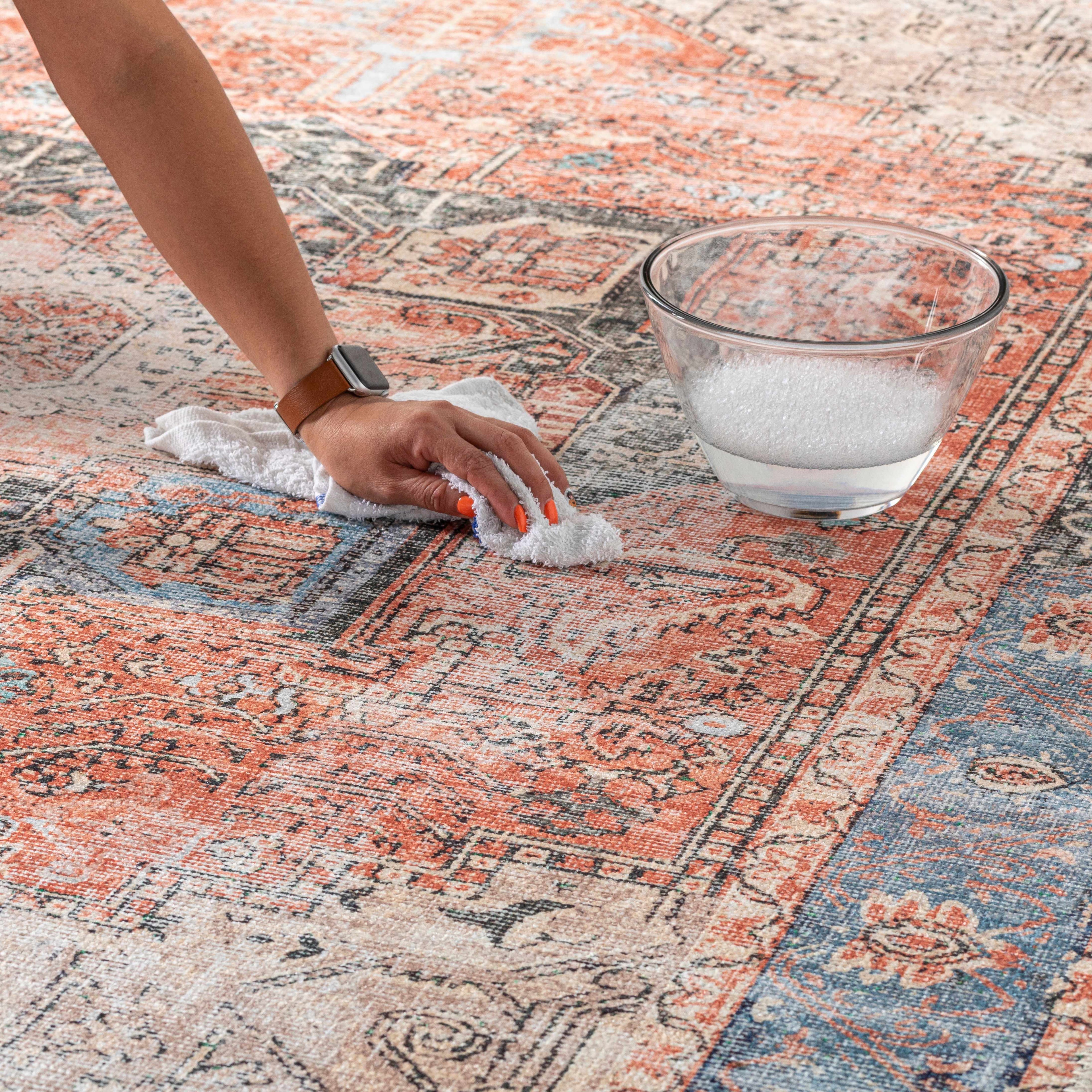 Rosman Distressed Washable Area Rug | Vintage Bohemian Rug – Boutique Rugs