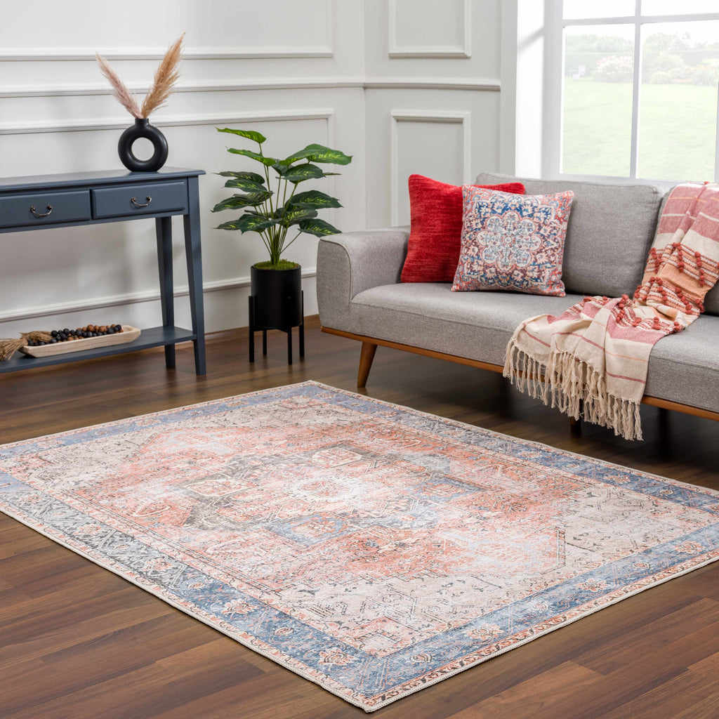 Rosman Distressed Washable Area Rug | Vintage Bohemian Rug – Boutique Rugs