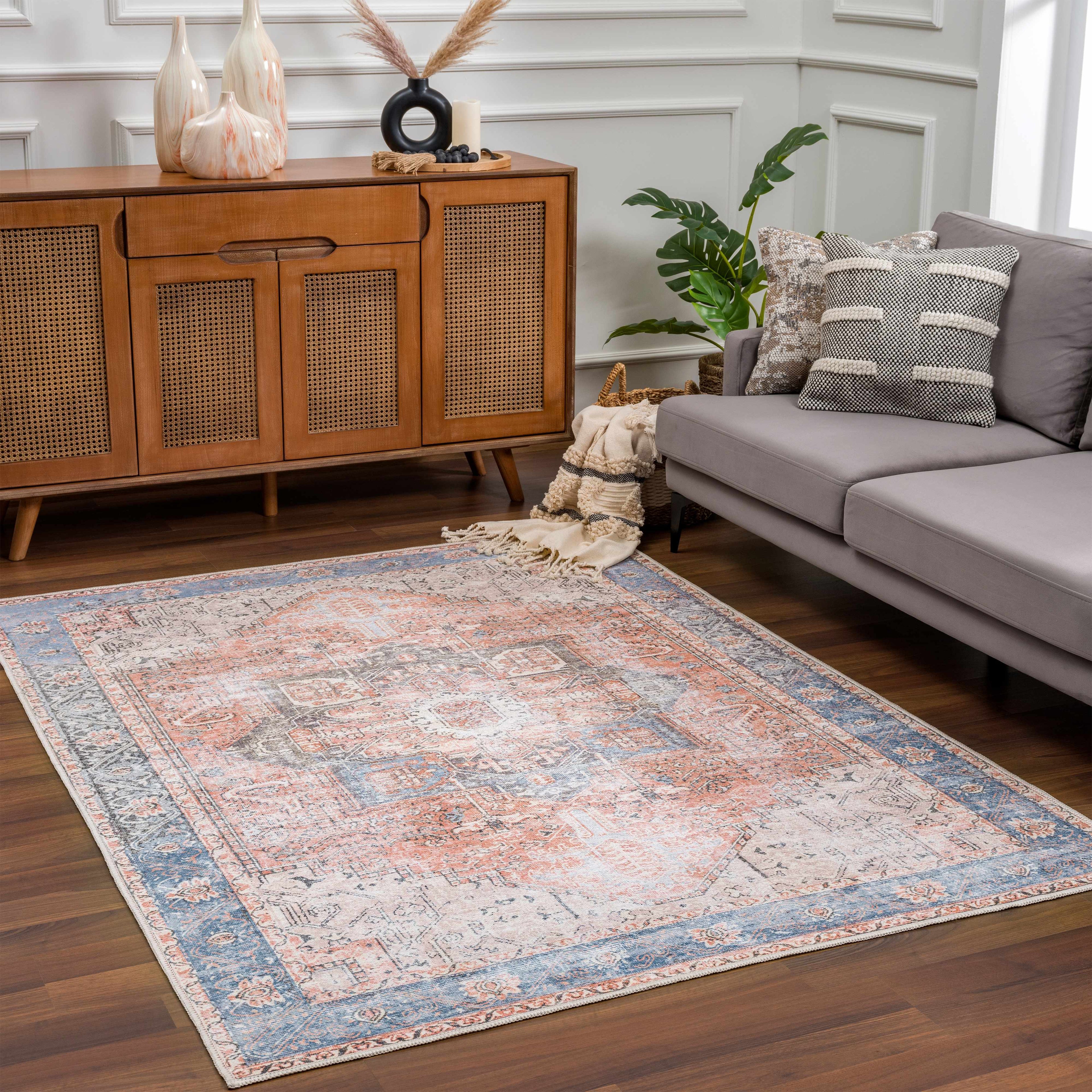 Rosman Distressed Washable Area Rug | Vintage Bohemian Rug – Boutique Rugs