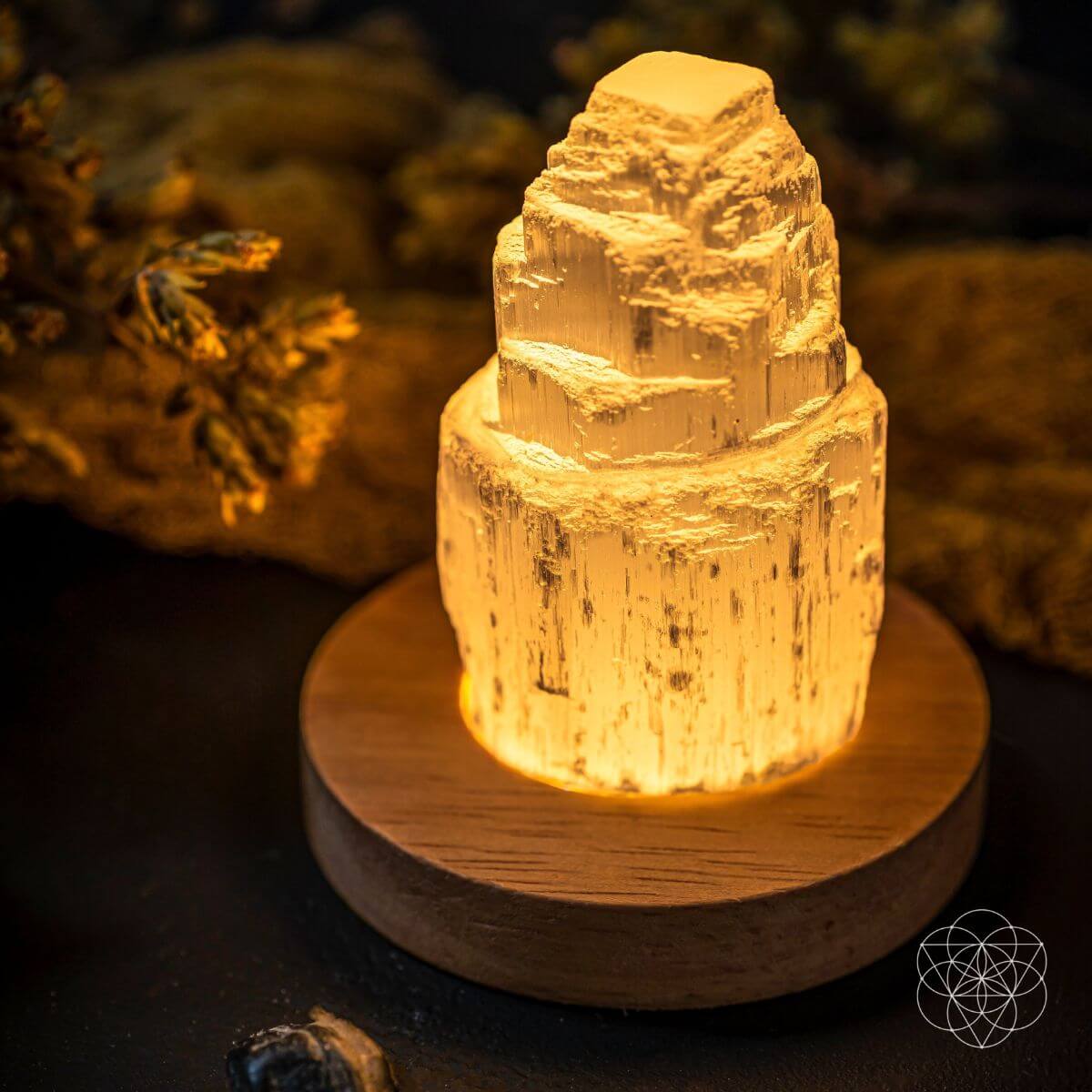 Selenite Crystal Lamp | Natural Selenite Cleansing Crystal Light – Conscious Items