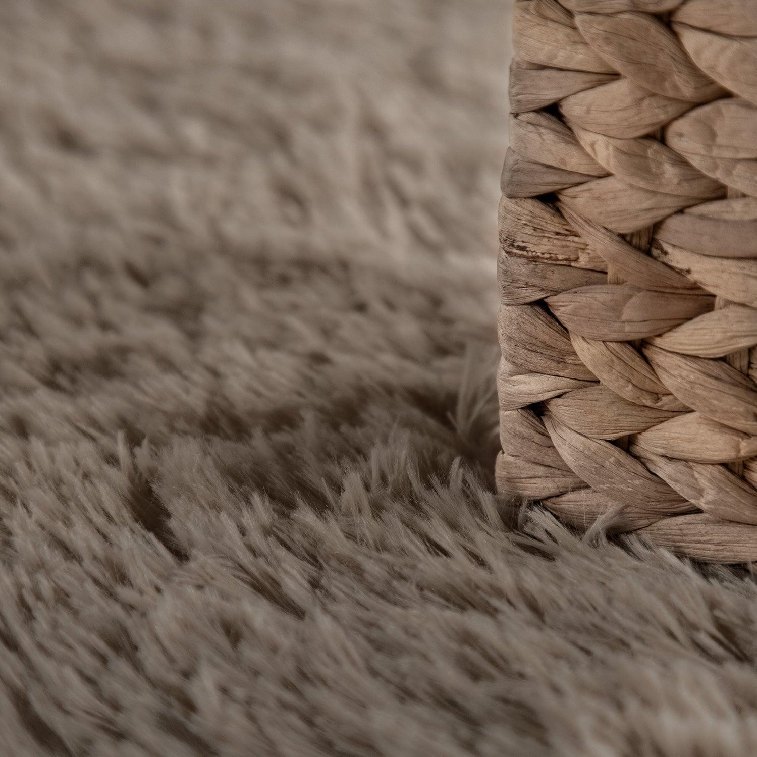 Comodo Area Rug