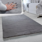 Andy Area Rug