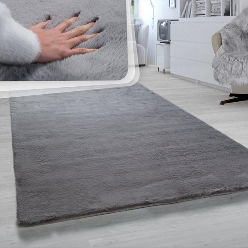 Andy Area Rug