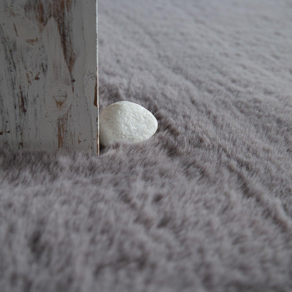 Andy Area Rug